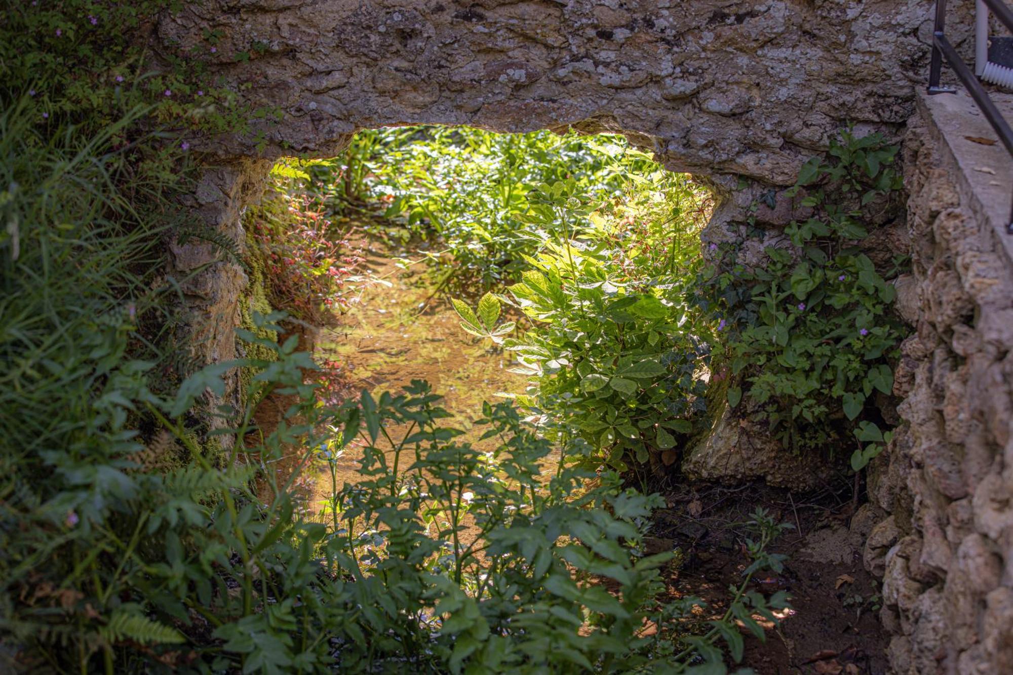 Le Ru De Biche - 20Min Disney - Spa Du 01 05 Au 01 11 - Paisible Guérard Exterior foto